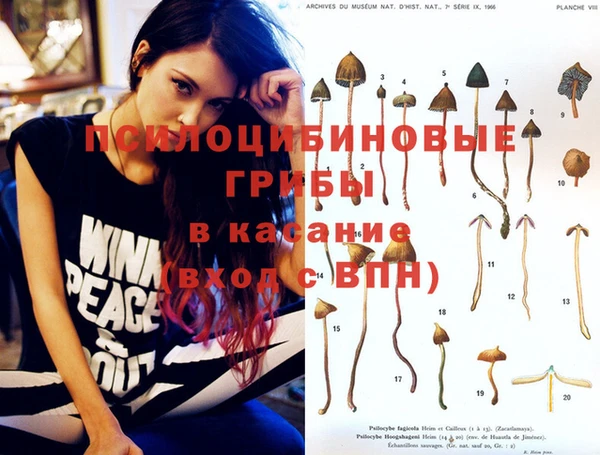 кокс Алексин