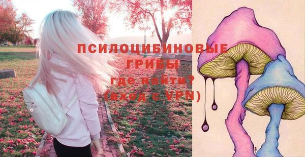 кокс Алексин